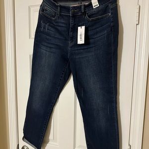 Judy Blue Slim Jean